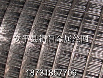 大絲電焊網(wǎng)